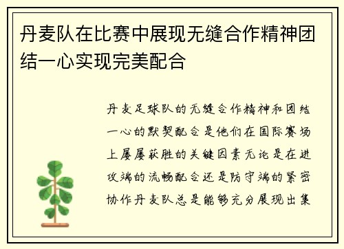丹麦队在比赛中展现无缝合作精神团结一心实现完美配合